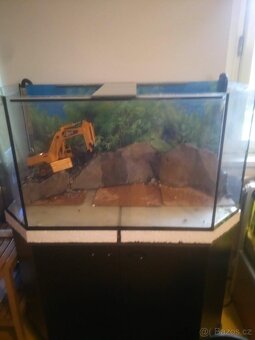 Prodám velké akvárko/terárko - 2