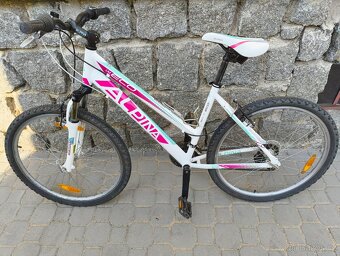 Kolo - 2
