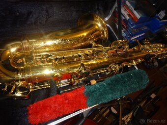Alt saxofon c.giant,krásný - 2