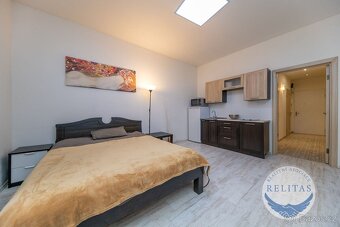Pronájem bytu 1+kk 31 m², u stanice metra Flora - 2