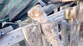 Nissan Patrol GR Y60. DILY - 2