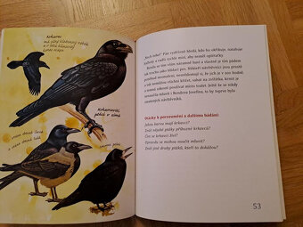 Karolínka a její zoo - Ryšková, Dungel - 2