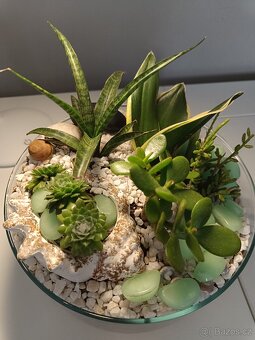 Florarium/kompozice ze sukulentu ve skle - 2