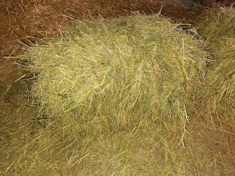 Seno malé balíky - 2