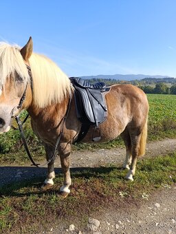 Turistické sedlo - 2