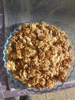 Vlašské ořechy - 2