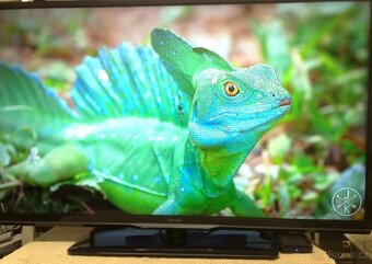Prodam Philips46PFL3208H-46"117cm LED-TV 1920x1080Zaruka 3 - 2