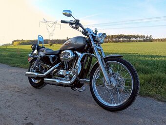 Harley - Davidson Sportster XL 1200 C - 2