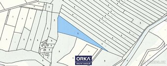 Prodej lesy, 6 823 m2 - Bělkovice-Lašťany - 2