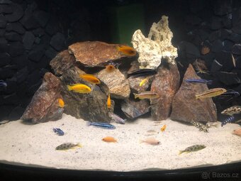 Prodám Akvarium S vybavením - 2