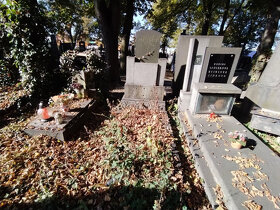 Prodej hrobu na Ústředním hřbitově v Plzni - 2