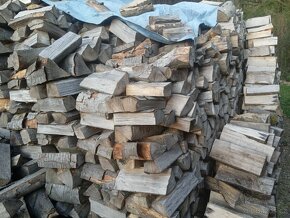 prodám polosuché palivové bukové dřevo, rozměr 33cm - 2