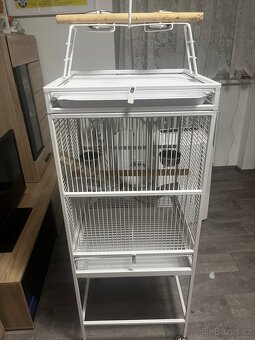 Klec pro papoušky - 2