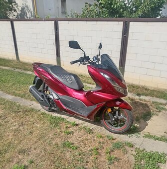 PCX 125 - 2