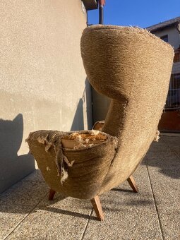 Starý ušák před revovací - 2