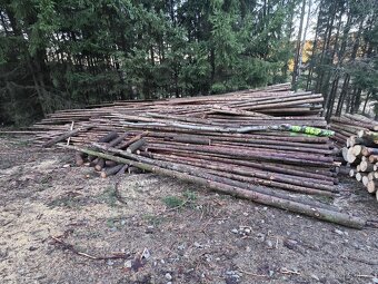 Dřevěná tyčovina - 2