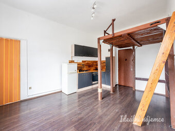 Pronájem bytu 1+kk, Michelská, Michle, 13800Kč/měs, 25 m2 - 2