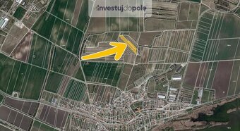 Prodej vinice v k.ú. Sedlec u Mikulova - 2