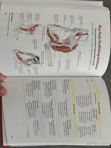 Anatomie jógy - 2