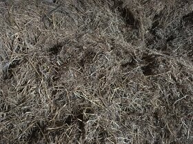 Seno za odvoz - 2