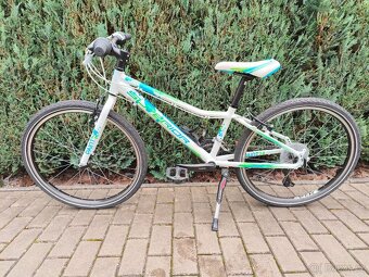 Superior XC 24" Paint - 2