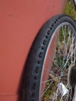 Kola 26" - 2
