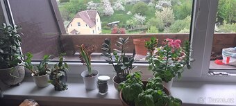 Pronájem bytu 2+1 50 m² - 2