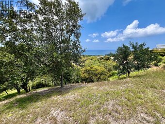 Sunny Hill#20 Diamond Hill Resort, Roatan - 2