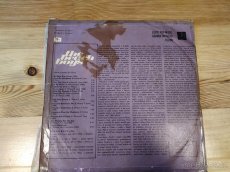 LP Vinyl The Beach Boys - 2