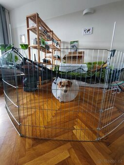 Ohrádka pro pejska/mazlíčka - 2