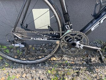 Focus Izalco - 2