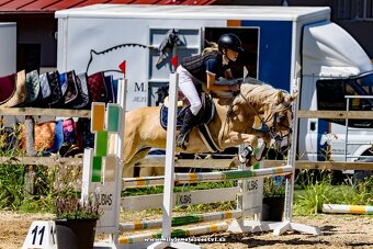 Pony klisna do sportu 10 let/ 133 KVH kat. A - 2