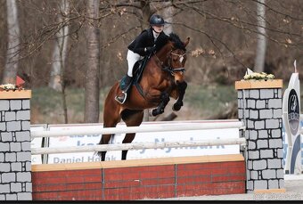 klisna do sportu - 2