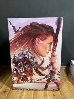 Horizon Regalla Edice PS5 - 2