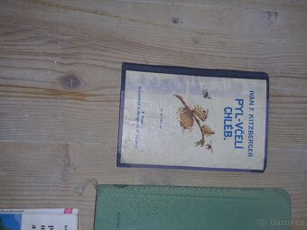 Včelařství zahrada hrozny - 2