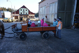 SÁNĚ A VŮZ ZA KONĚ - prodám - 2