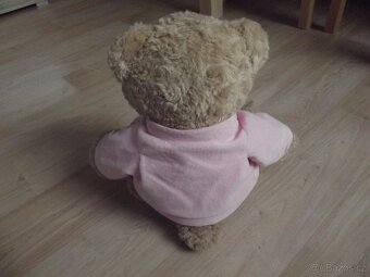 Plyšák medvěd - 2