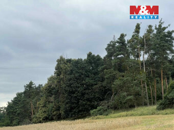 Prodej lesa, 4321 m², Tři Dvory - 2