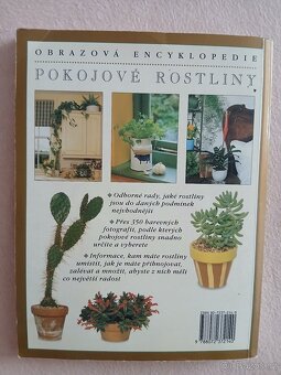 Pokojové rostliny - 2
