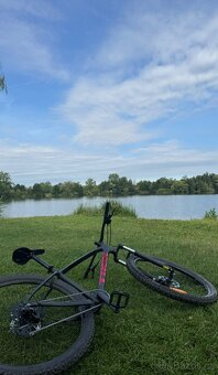 TREK Marlin 5 Gen 3 2025 - 2