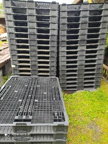 Plastové palety za 180kč. - 2
