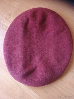 Baret paragana - 2