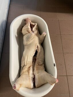 Sele na gril 25-40kg - 2