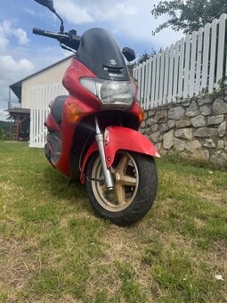 Suzuki Epicuro 150 - 2