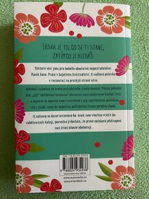 Knížka Čokoládový průšvih - 2