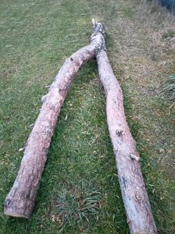 Prodám zvoničky - 2