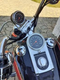 Harley-Davidson FXDWG 1HD1GEL - 2