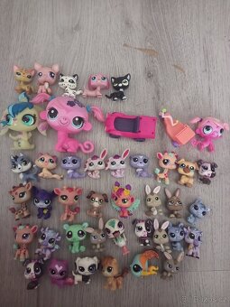 Little PET shop - 2