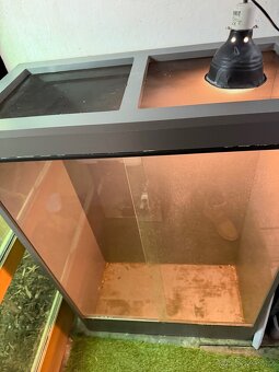 Terárium lamino - 2