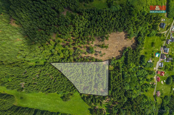 Prodej lesa, 6696 m², Tanvald - 2